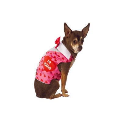 Selecting the Best Holiday Pet Costume: All About Pet Wear! - worldclasscostumes