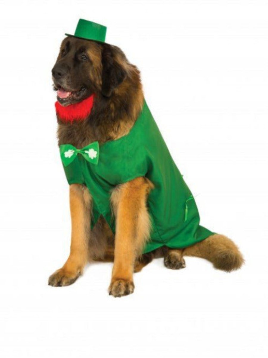 Big Dog Leprechaun Costume - worldclasscostumes