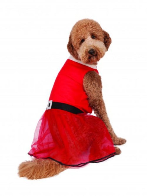 Big Dog Santa's Sweetie Costume - worldclasscostumes