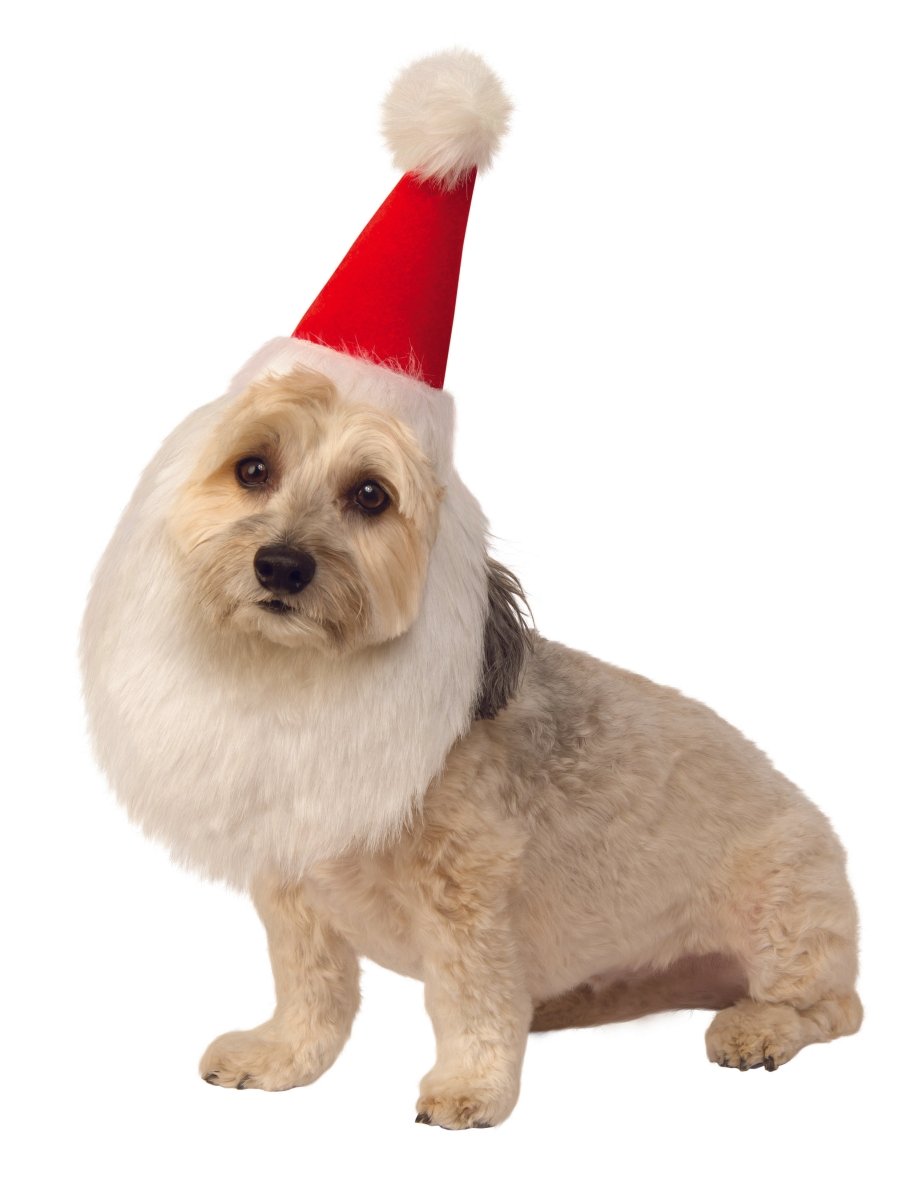 Dog Santa Hat with Beard - worldclasscostumes