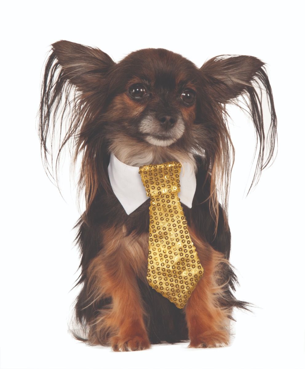 Gold Sequin Tie Pet Costume - worldclasscostumes