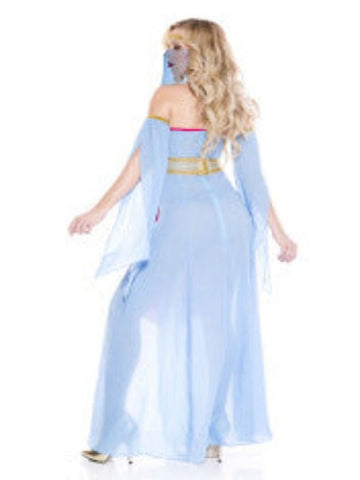 Harem Princess Women Costume - worldclasscostumes