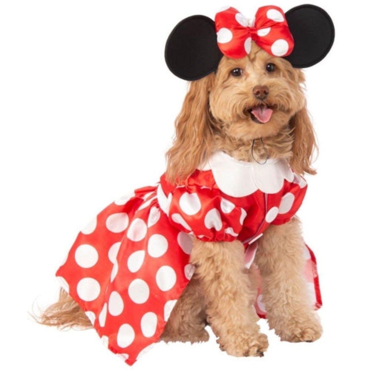 Minnie Mouse Dress Pet Costume - worldclasscostumes