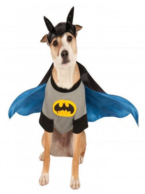 Pet Batman Costume - worldclasscostumes