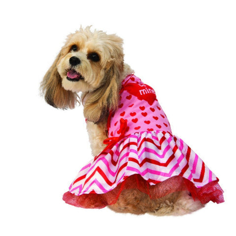 Pet Valentine's Day Sweetheart Pet Dress Costume - worldclasscostumes
