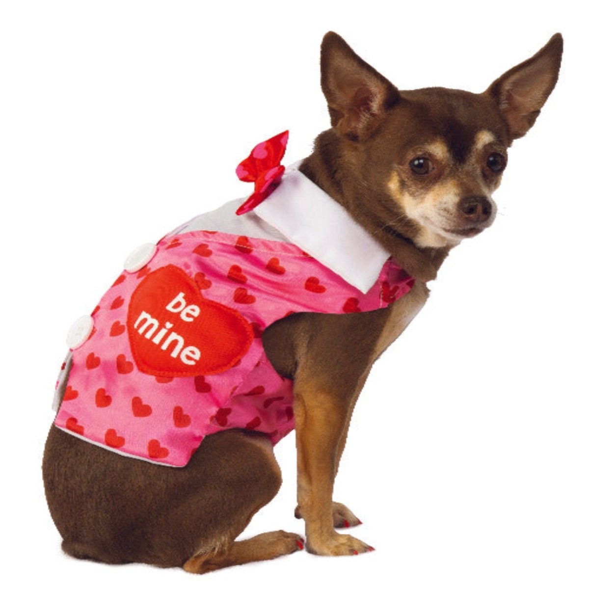 Pet Valentine's Day Sweetheart Pet Vest Costume - worldclasscostumes