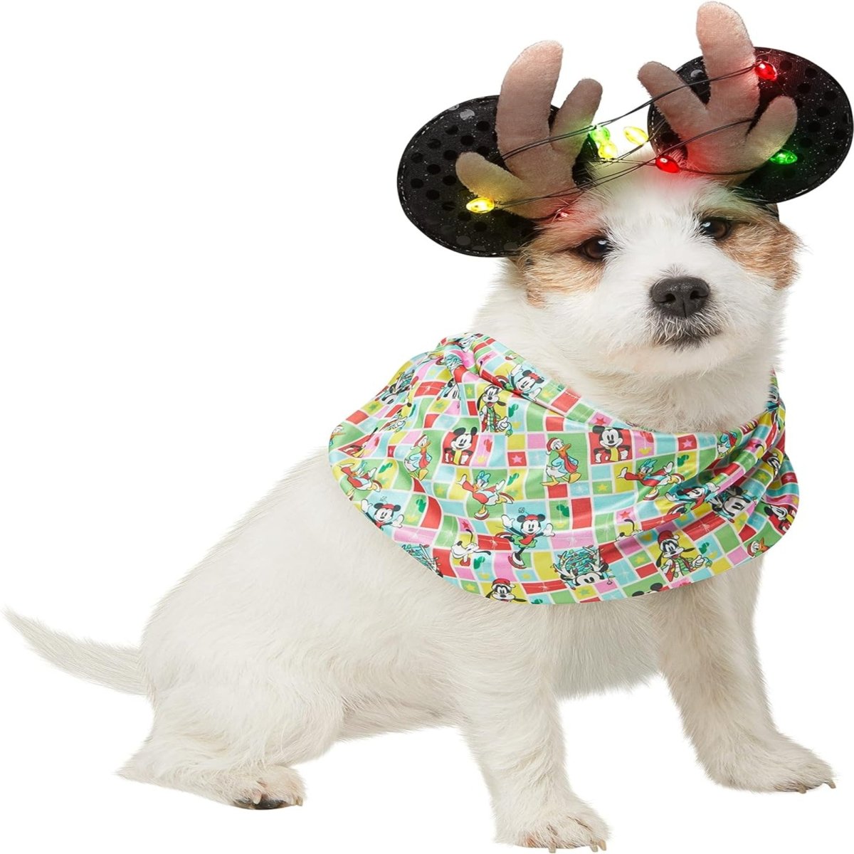 Rubie's Disney Reindeer Light Up Holiday Ears and Antlers with Infinity Scarf for Pets - worldclasscostumes