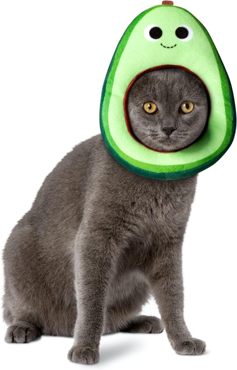 Rubie's Yummy World Avocado Pet Costume Face Headpiece - worldclasscostumes