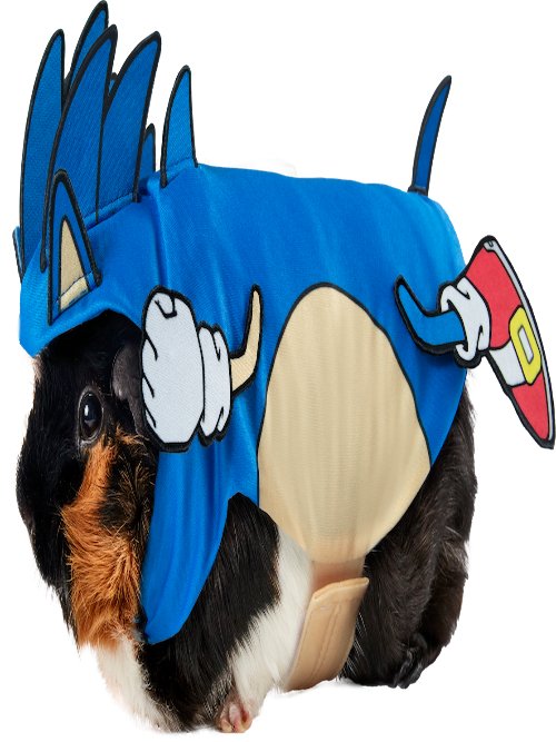Sonic Small Pet Costume - worldclasscostumes